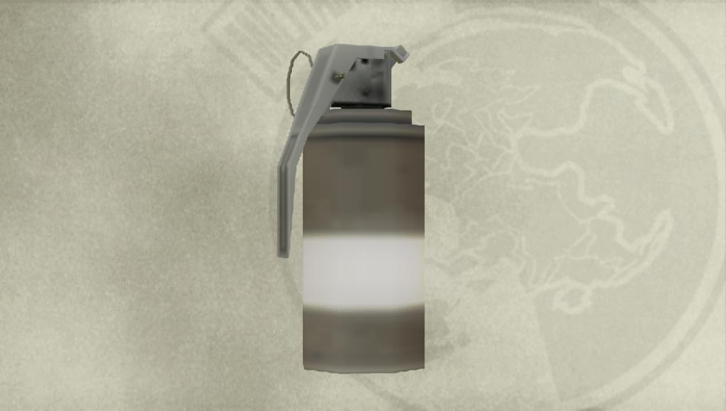 mgspw01212010image35