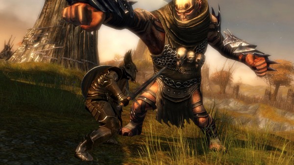 Guild Wars 2 - Warrior Screenshot