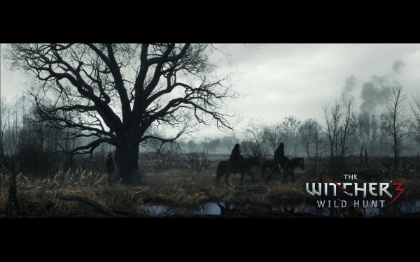The Witcher 3 - Wild Hunt - Wallpaper HD 07 - 1920x1200
