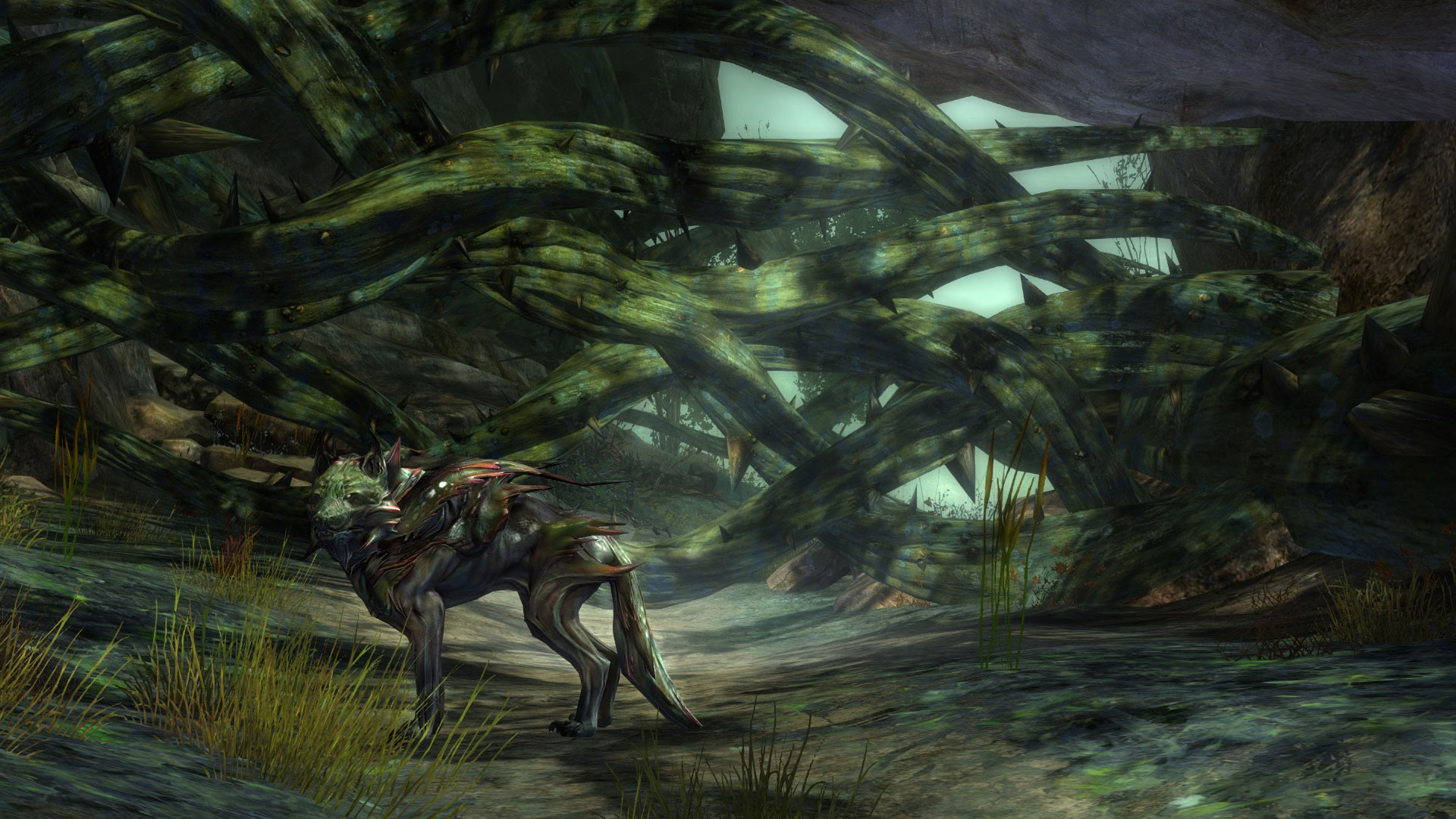 Guild Wars 2 - Gates of Maguuma - Forest Screenshot