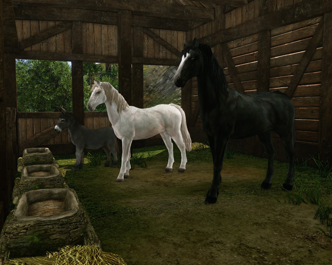 ArcheAge - Screenshot 11 - Cavalos