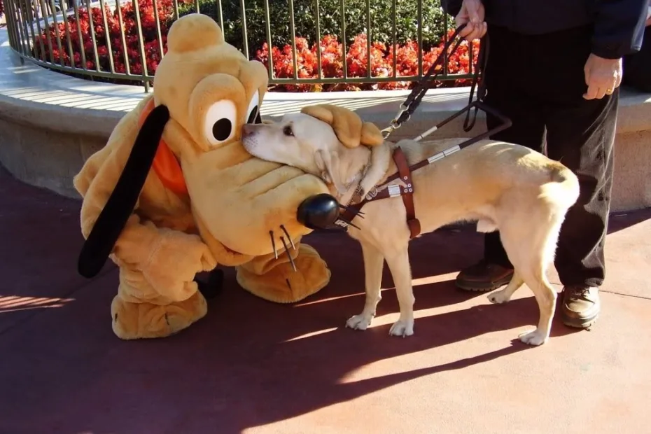 Disney - Pluto - Cãozinho