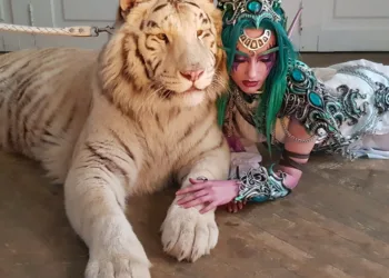 Cosplayer faz a Tyrande, de World of Warcraft, com um tigre de verdade Cosplay da Tyrande com um tigre de verdade – 02