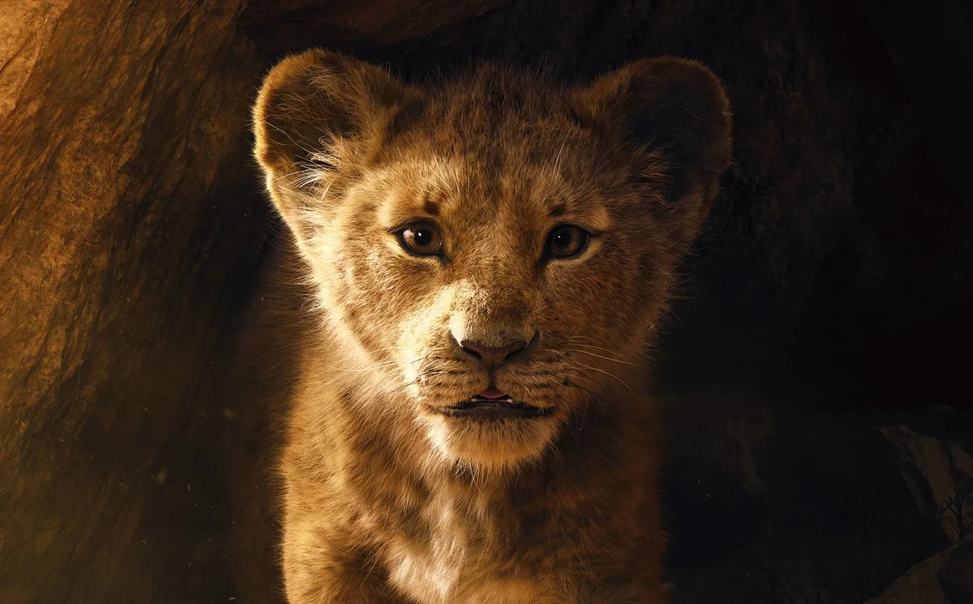 O Rei Leão - Pôster com Simba - Topo