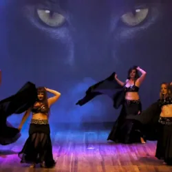 Dança do Ventre: Zayin: os mistérios do sete (Sete Vidas dos Gatos) Mistério dos Sete - Dança do Ventre