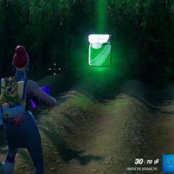 Fortnite - Frasco de Cor Codinome VRD Capa