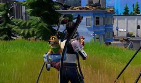 Fortnite Pontos Denominados capa