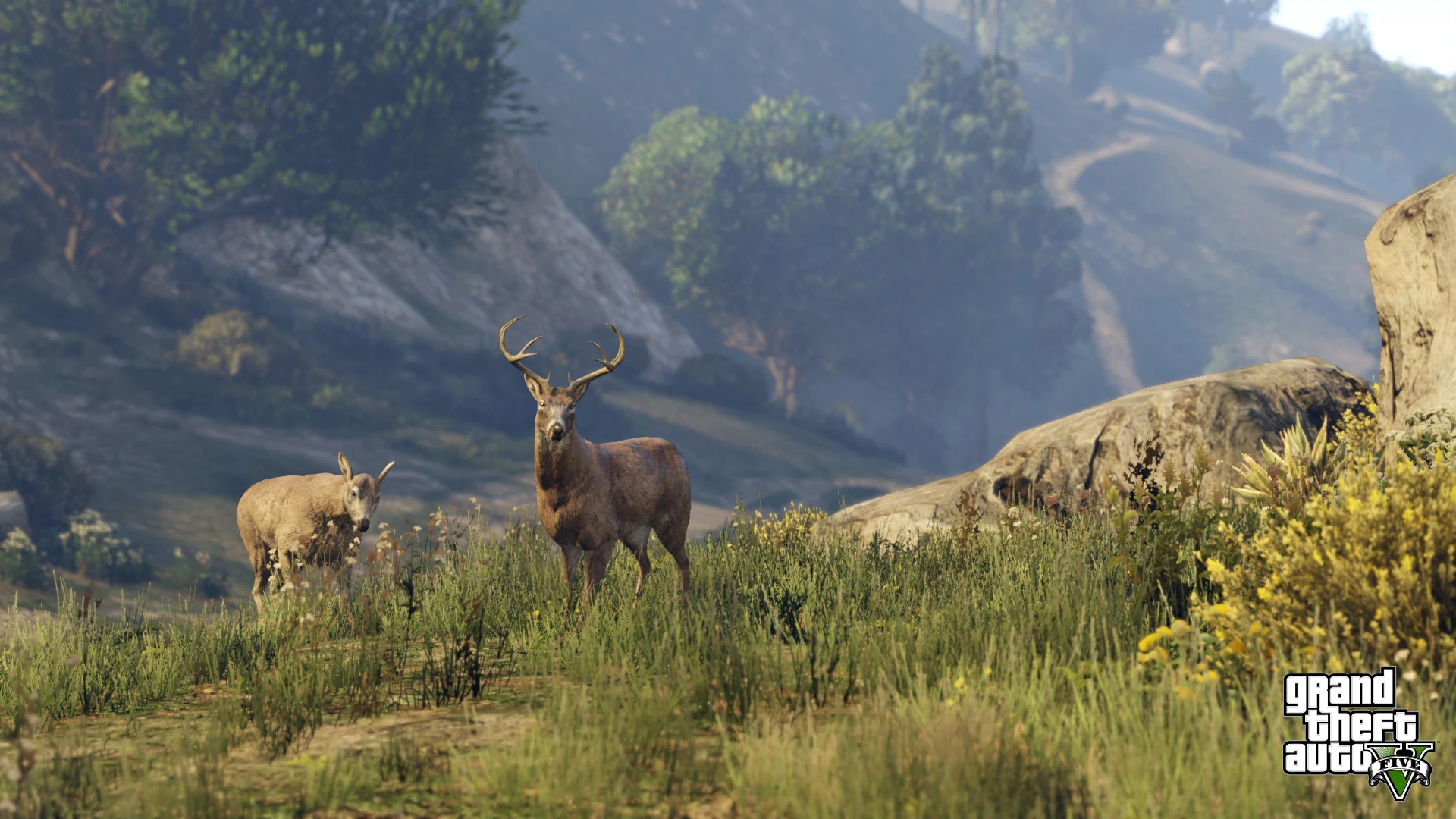 Grand Theft Auto V - PS4 Screenshot 09 - Vida Selvagem