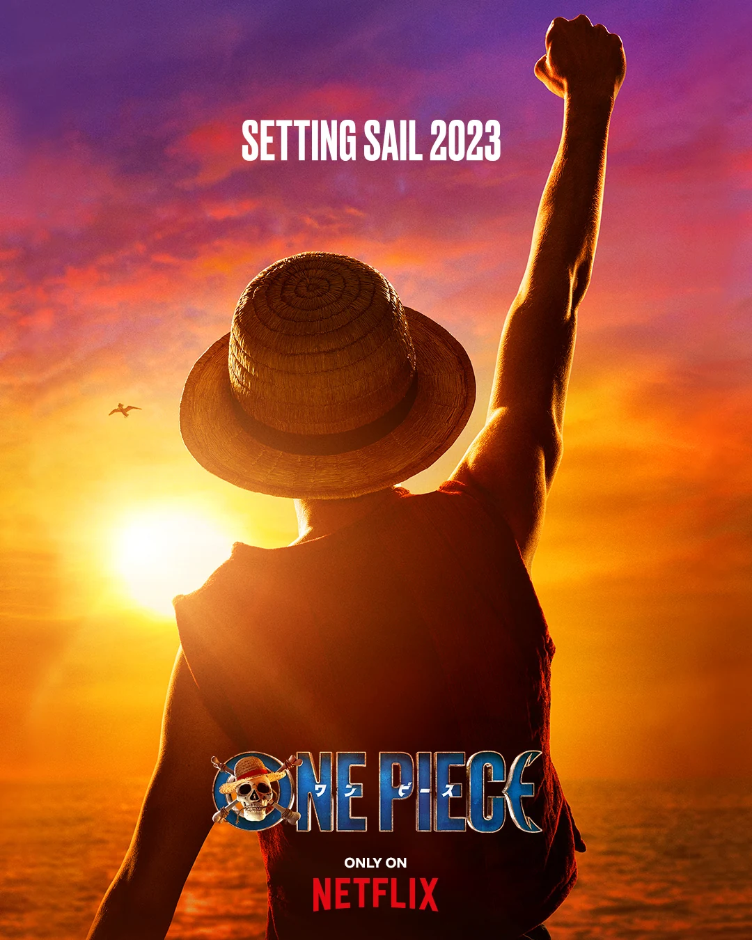 Going Merry é destaque de novo pôster de One Piece - Nerdizmo