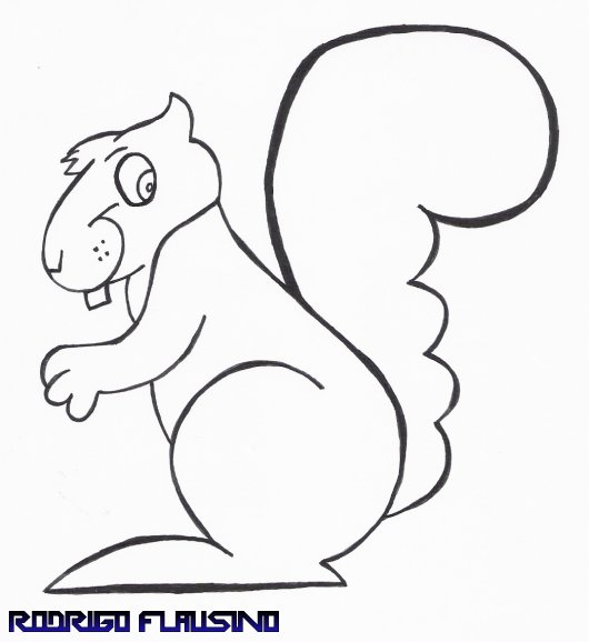 Desenho - Esquilo