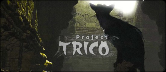 project_trico_01